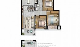 爆料廊坊四院事件视频最新,真相与争议交织